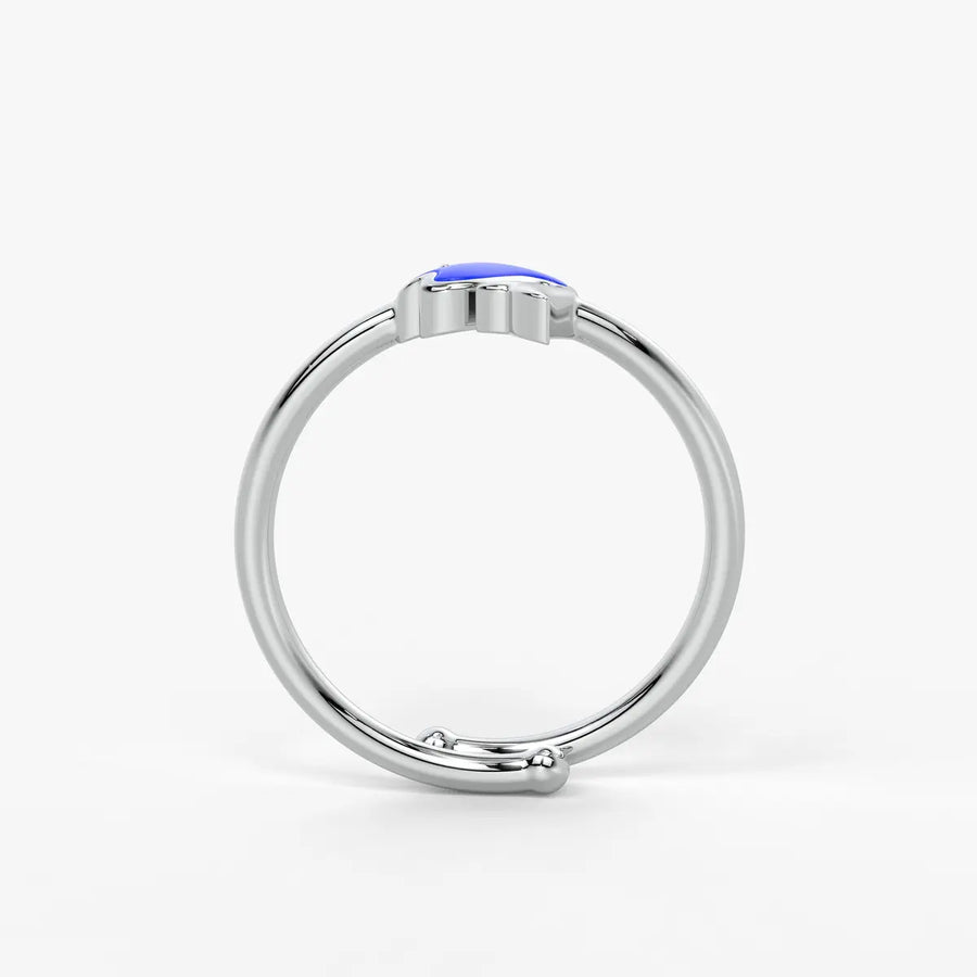 Ocean Joy Dolphin Splash Ring
