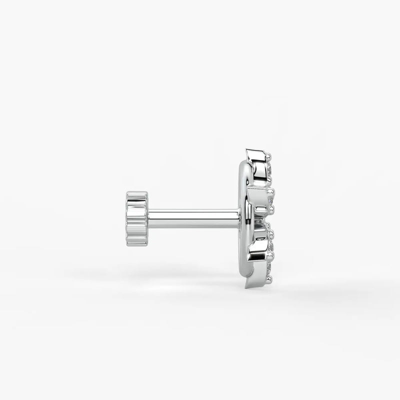 Star Wheel Screw Nose Pin